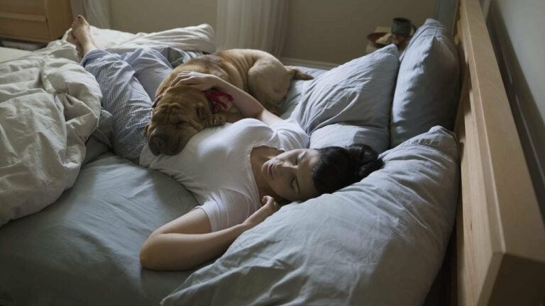 DOES CBD HELP DOGS SLEEP AT NIGHT?