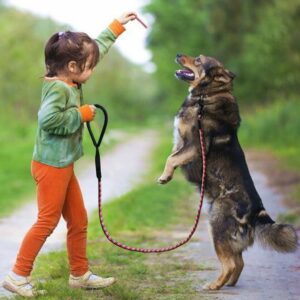 IS CBD HELPFUL FOR LEASH REACTIVE DOGS?