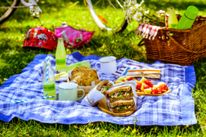 8 Best CBD Edibles To Bring To A Picnic
